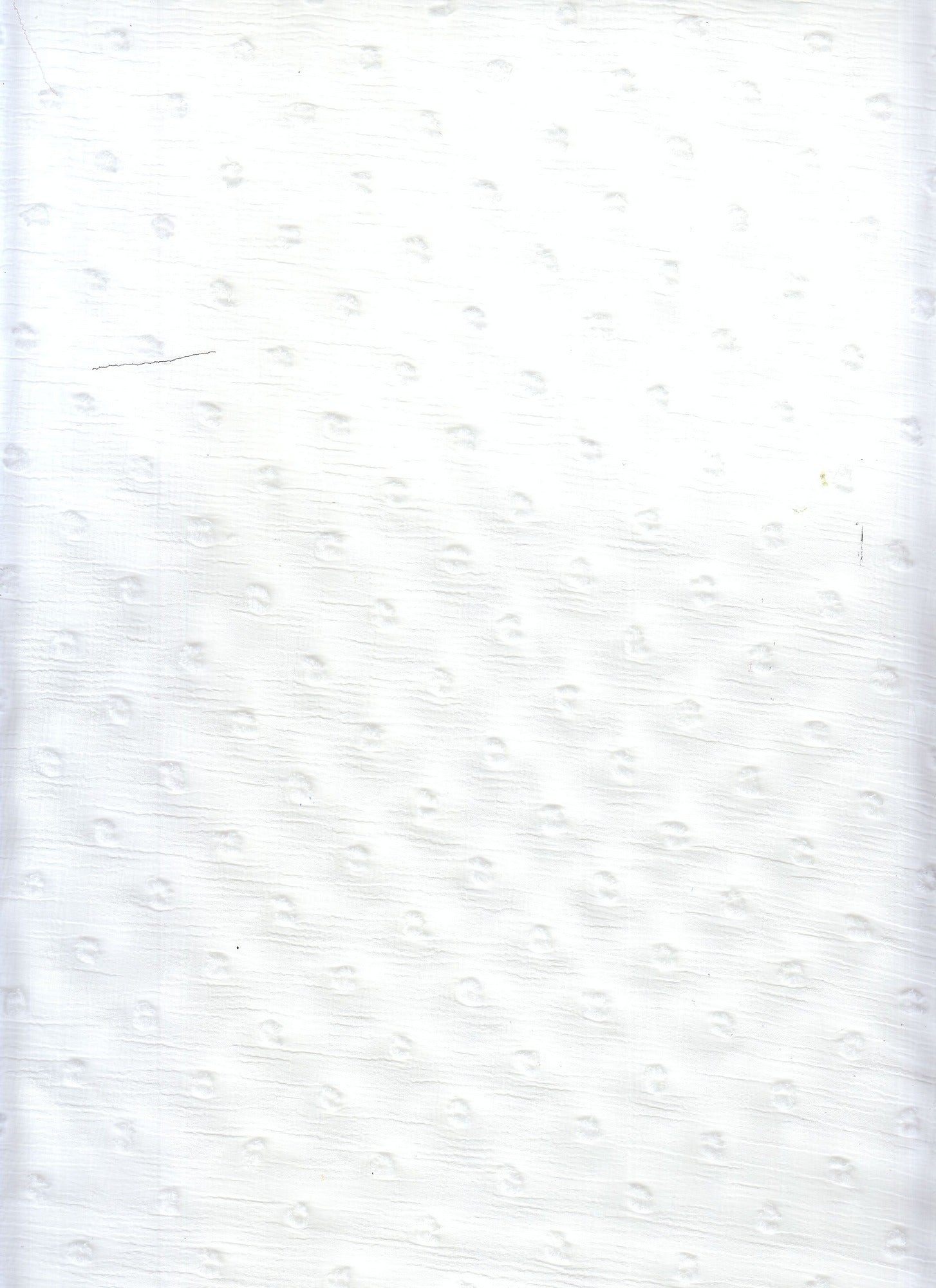 12031 IVORY#2 AIR FLOW BOTTOM DRESS IVORY PANTS POLYESTER SHIRT SHORT SKIRT SOLID SUBLIMATION SWIM WEAR SWISS DOT TOP URAGIRI WOVEN