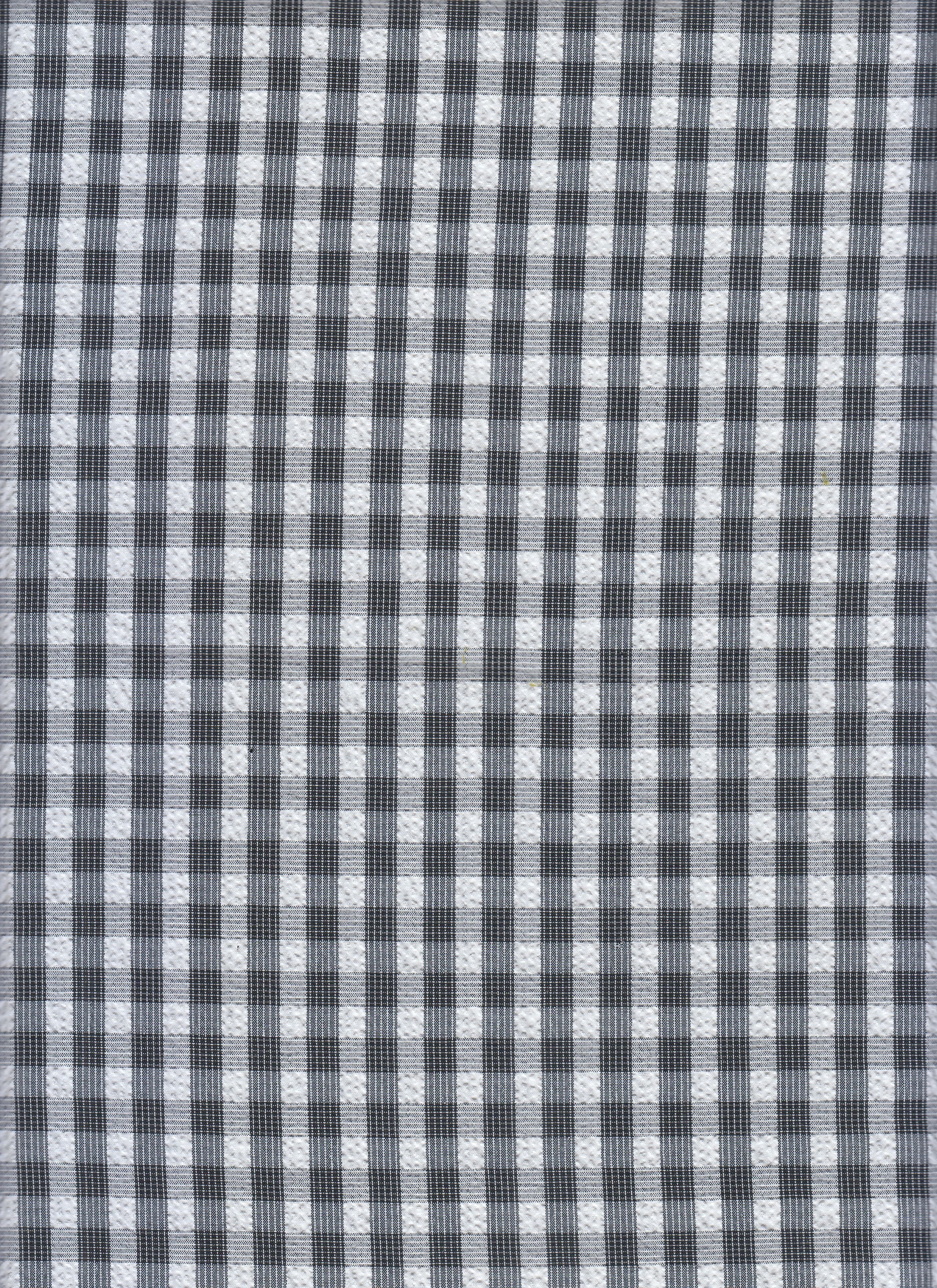 12093 BLACK/WHITE#1 WOVEN