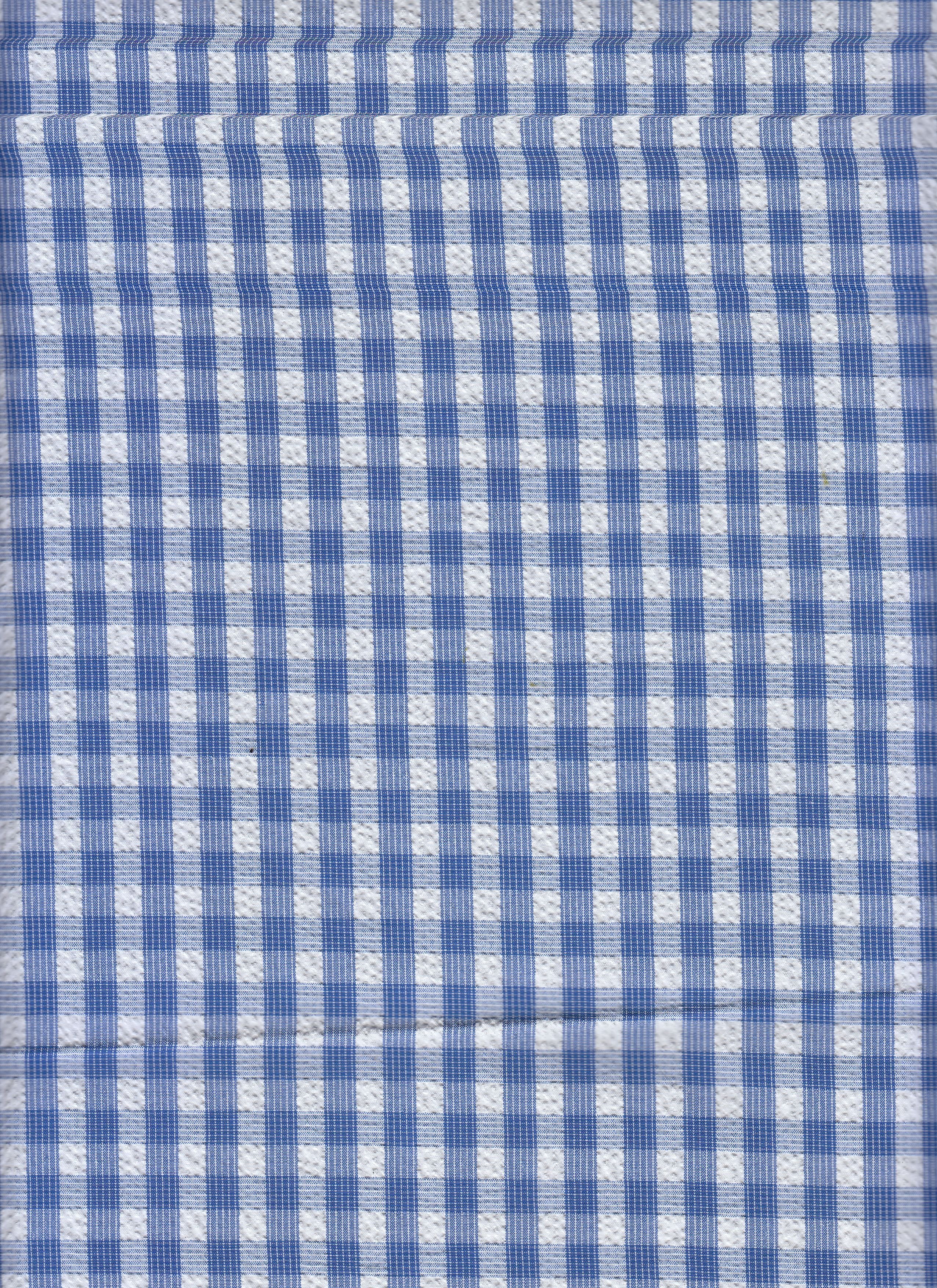 12093 ROYAL/WHITE#2 WOVEN