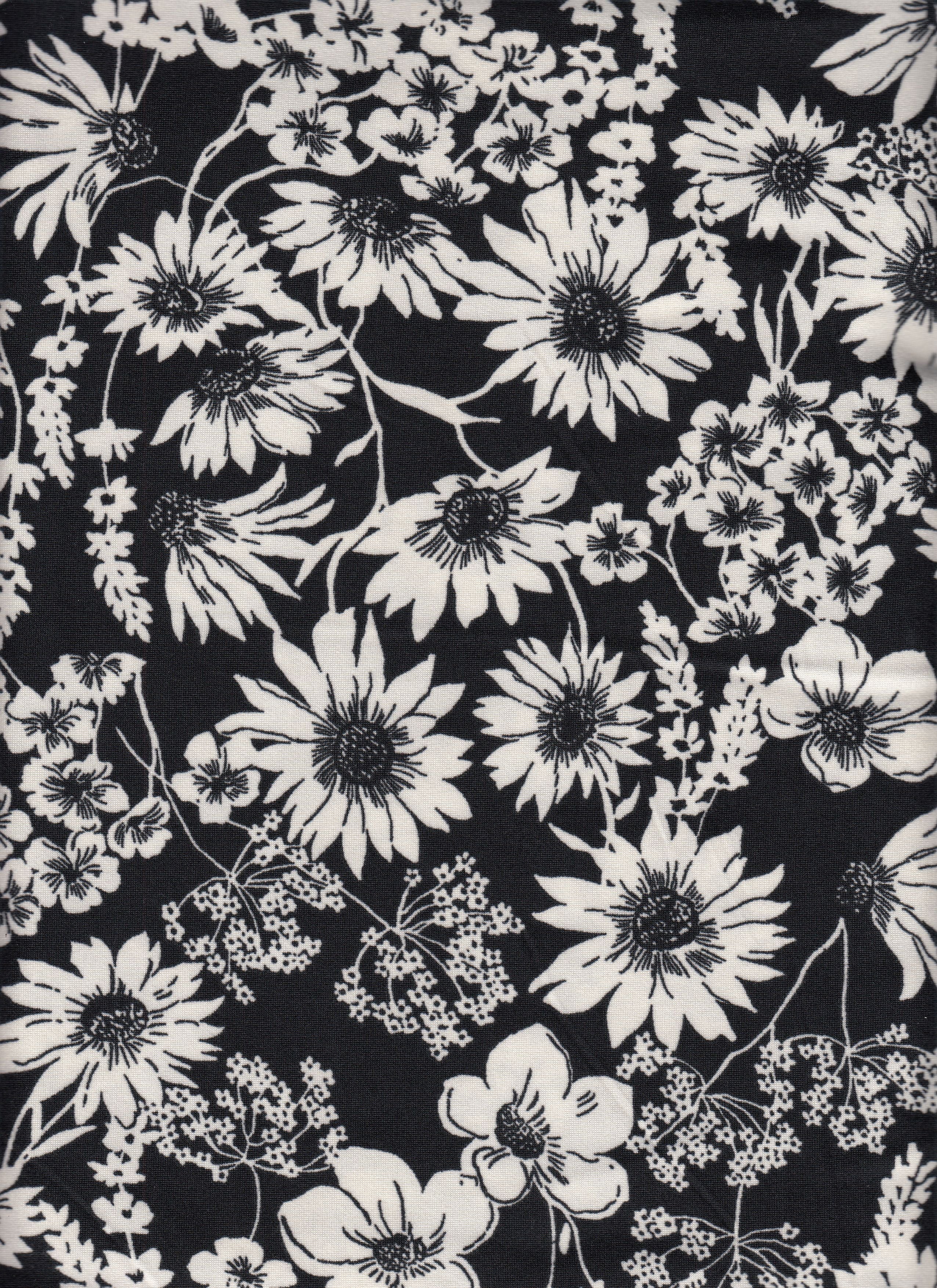IW88804-14840 BLACK/IVORY#11 BOTTOM DAISY FLOWER DRESS DTY BRUSH KNIT LEAF LEGGINGS LOUNGEWEAR NEW PAJAMAS PANTS POLYESTER SHORT SKIRT SPANDEX TOP