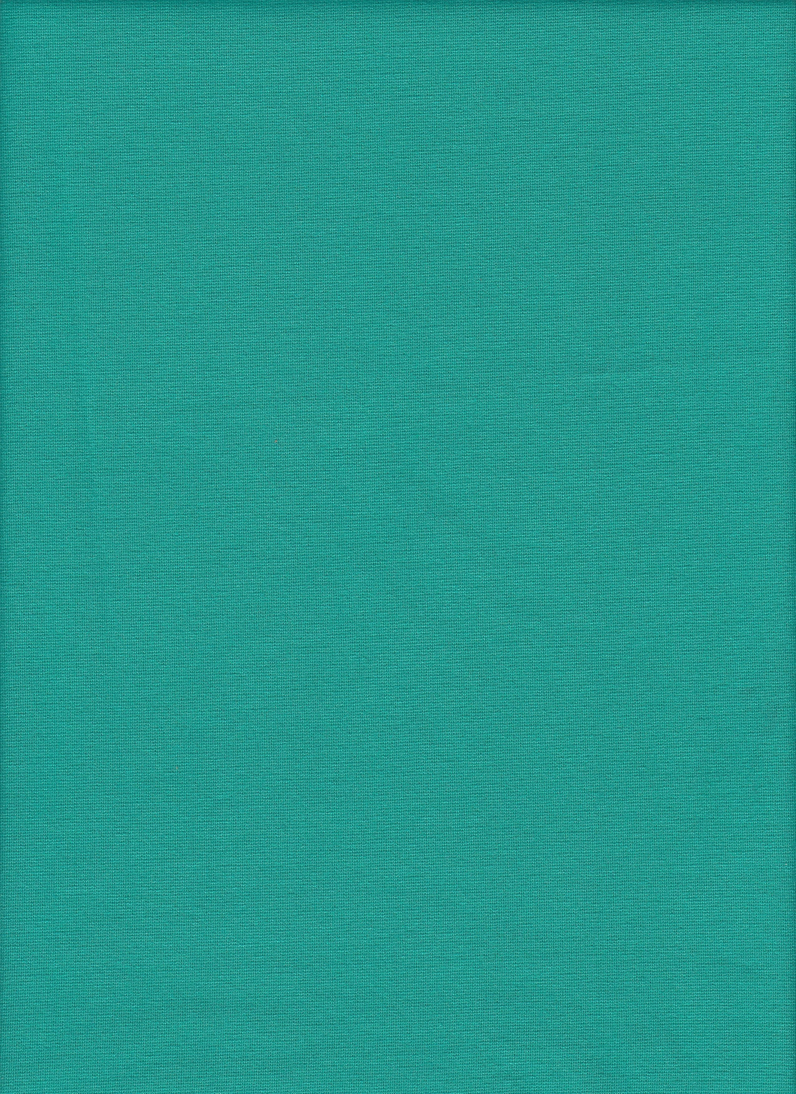B21753ZY MINT#130 DRESS KNIT LEGGINGS MINT NYLON PANTS PONTI ROMA RAYON SOLID SPANDEX SUPER