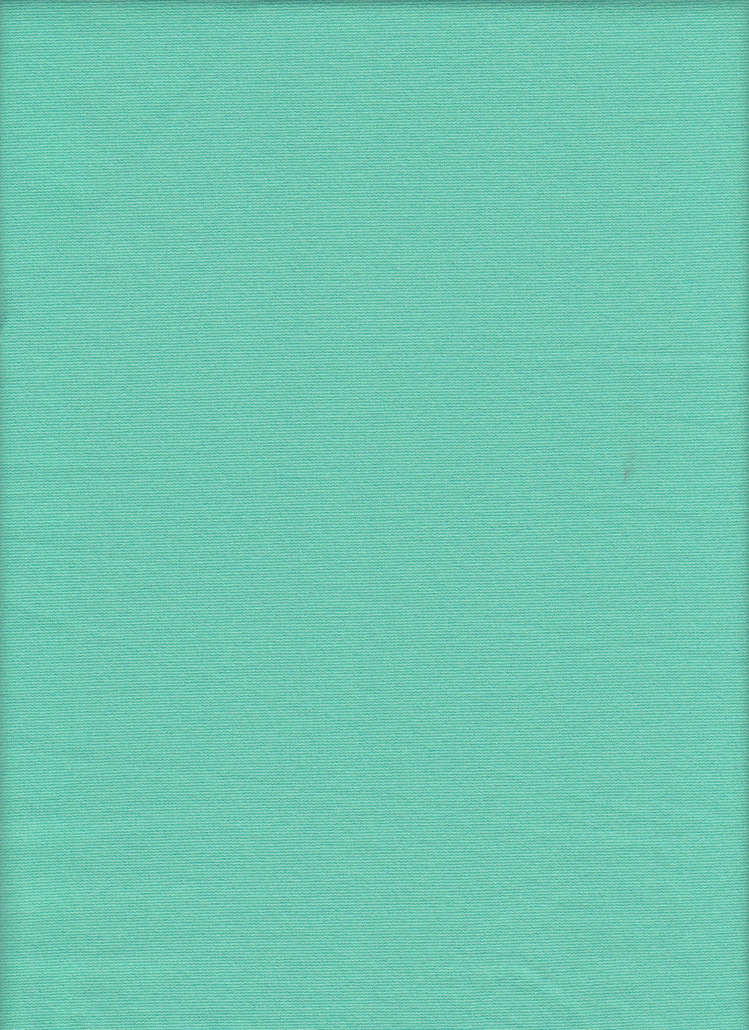 B21753ZY MINT#313 DRESS KNIT LEGGINGS MINT NYLON PANTS PONTI ROMA RAYON SOLID SPANDEX SUPER