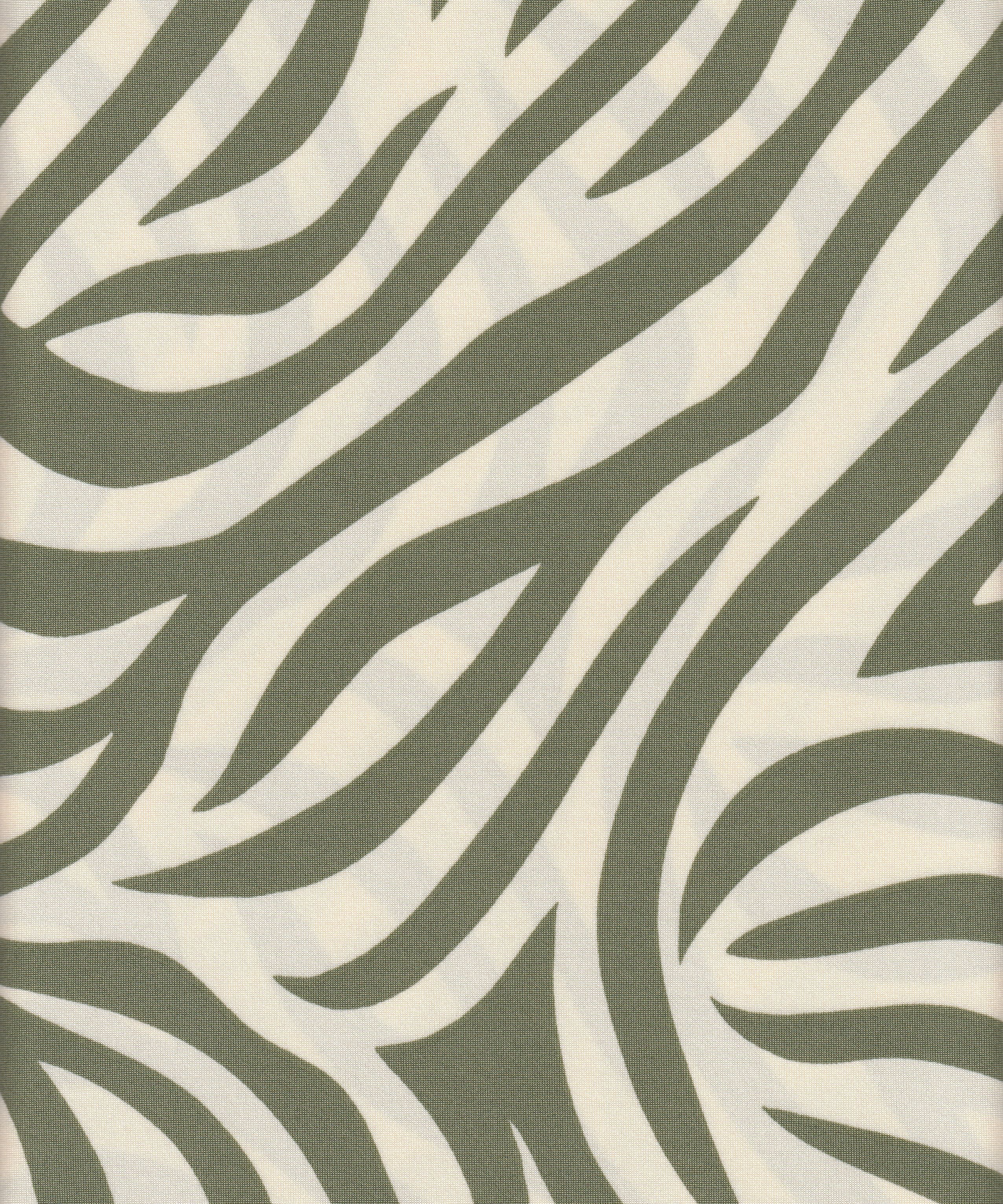 DTY Knit Fabric Non-Brushed Zebra Print, 96% Polyester 4% Spandex, 4-Way Stretch 