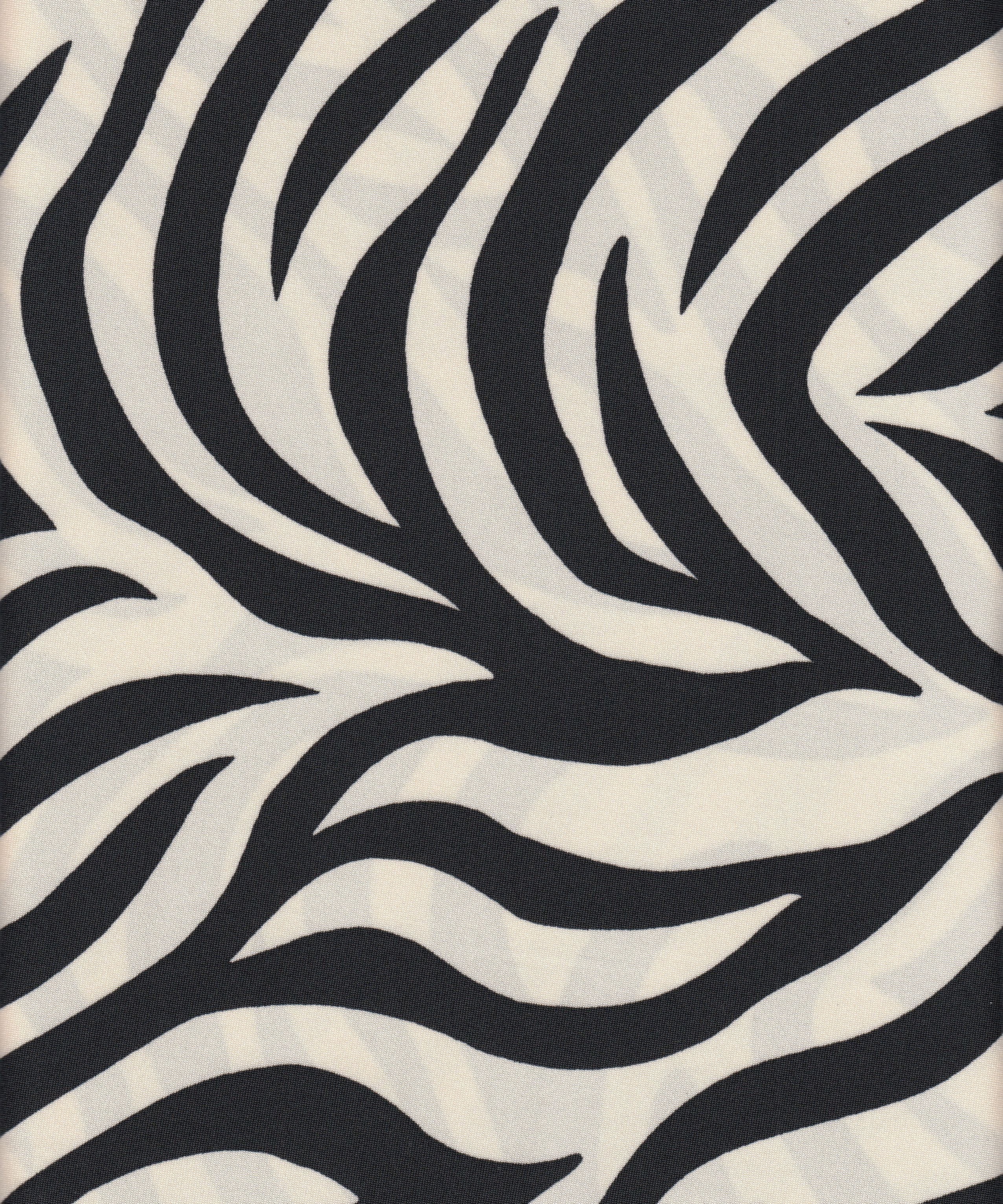 DTY Knit Fabric Non-Brushed Zebra Print, 96% Polyester 4% Spandex, 4-Way Stretch 