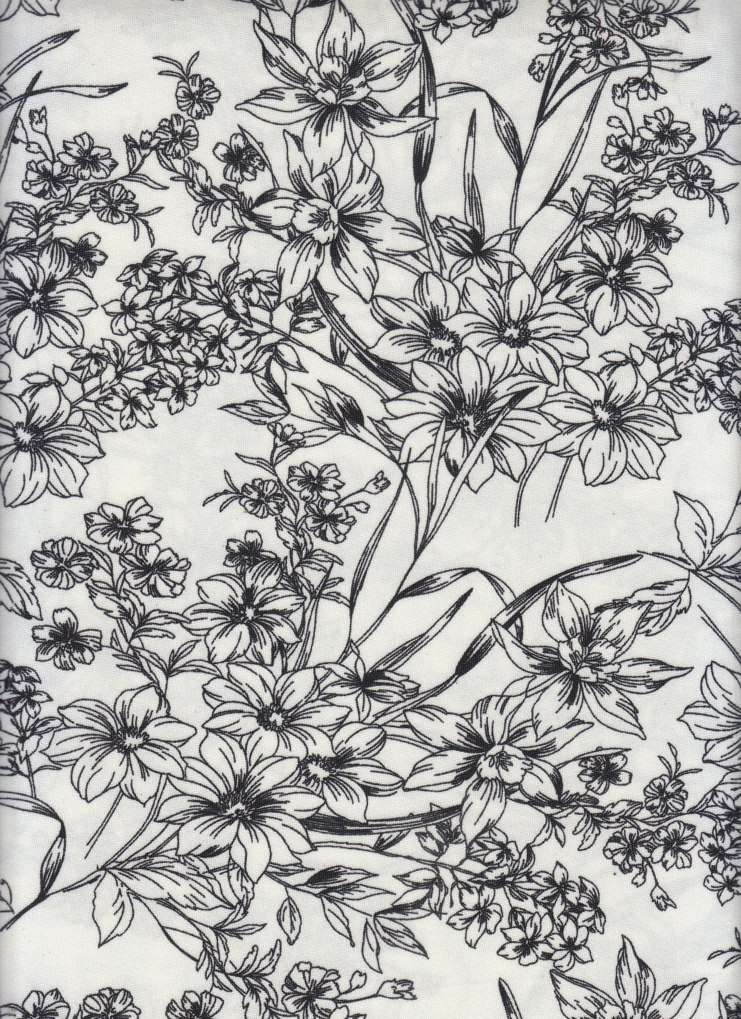 "DTY Non-Brush Fabric - Smooth Stretch With Sleek Finish
" 