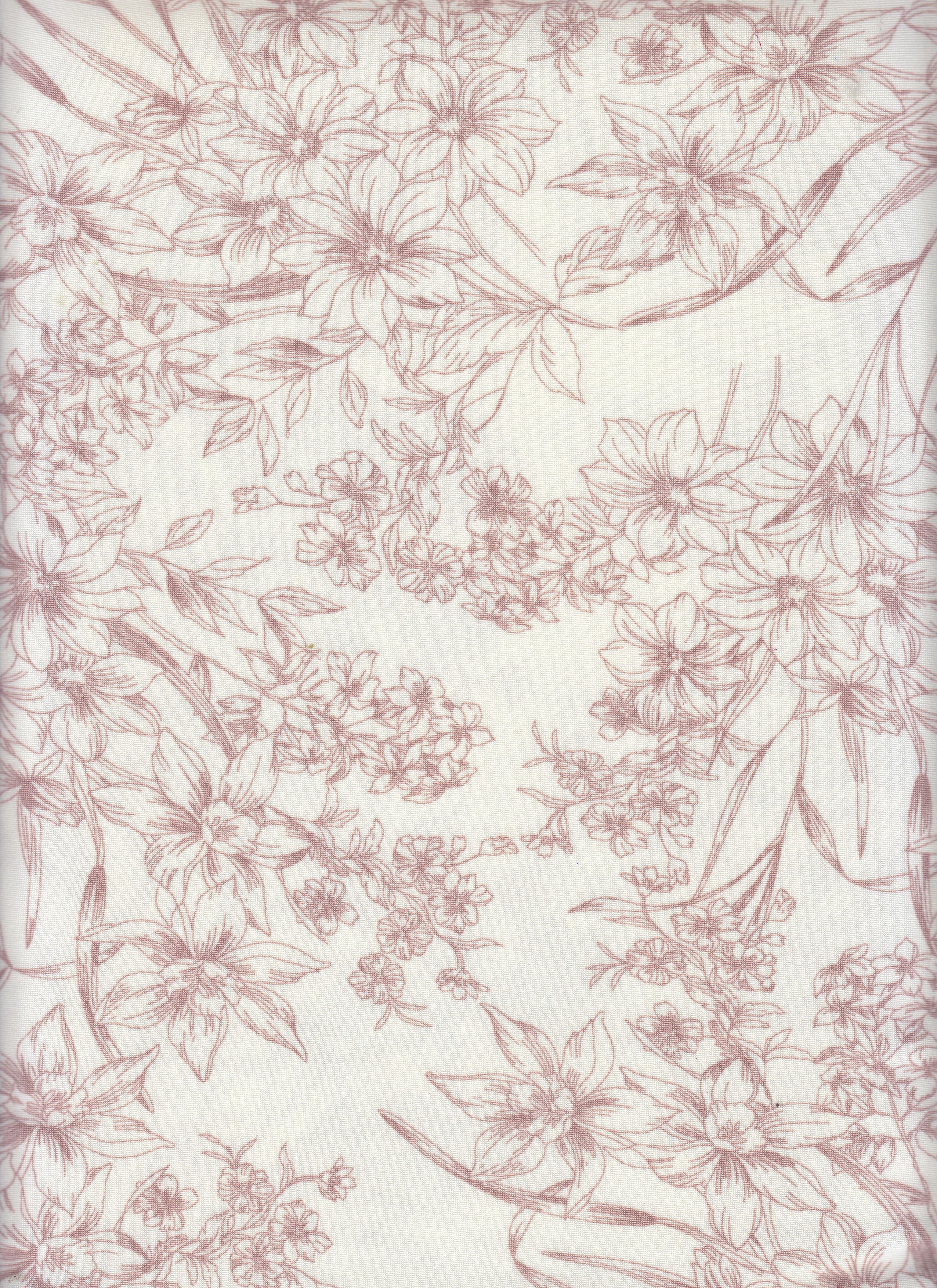 "DTY Non-Brush Fabric - Smooth Stretch With Sleek Finish
" 