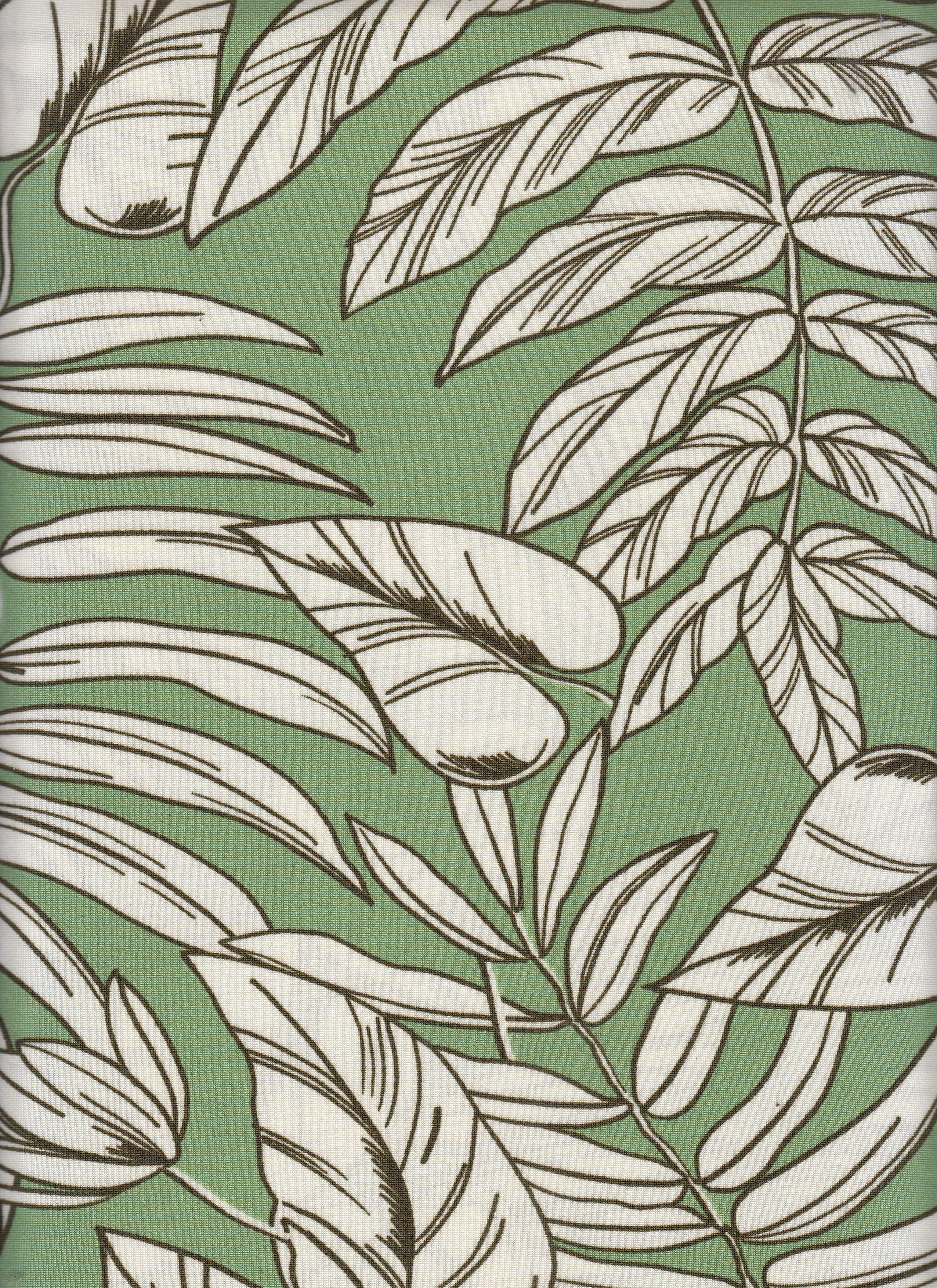 DTY Non-Brush Fabric - Smooth Stretch With Sleek Finish 
