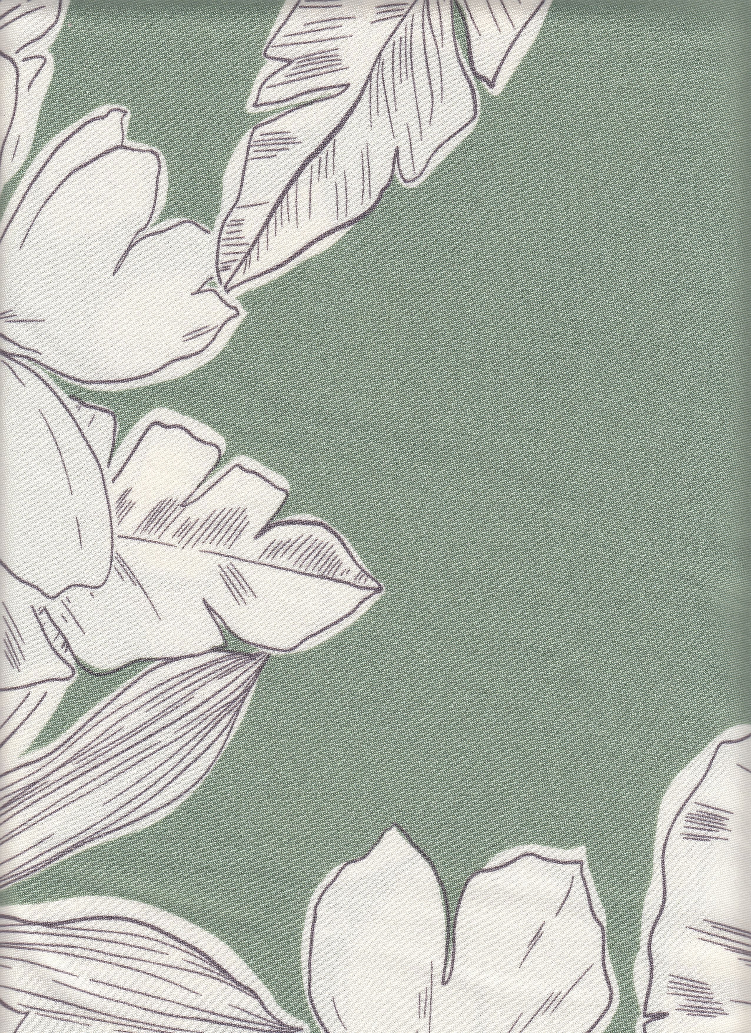 DTY Non-Brushed Big Flower & Big Leaf Fabric - 96% Polyester, 4% Spandex - Smooth Stretch Knit Flora 