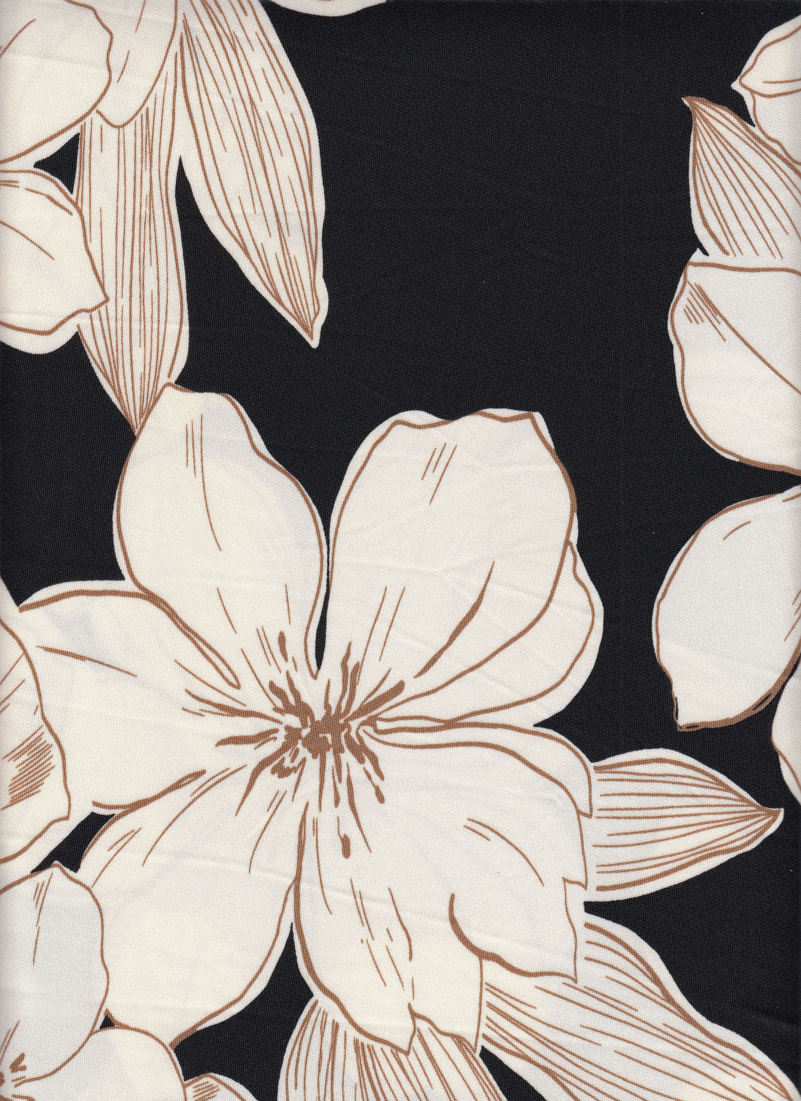 DTY Non-Brushed Big Flower & Big Leaf Fabric - 96% Polyester, 4% Spandex - Smooth Stretch Knit Flora 