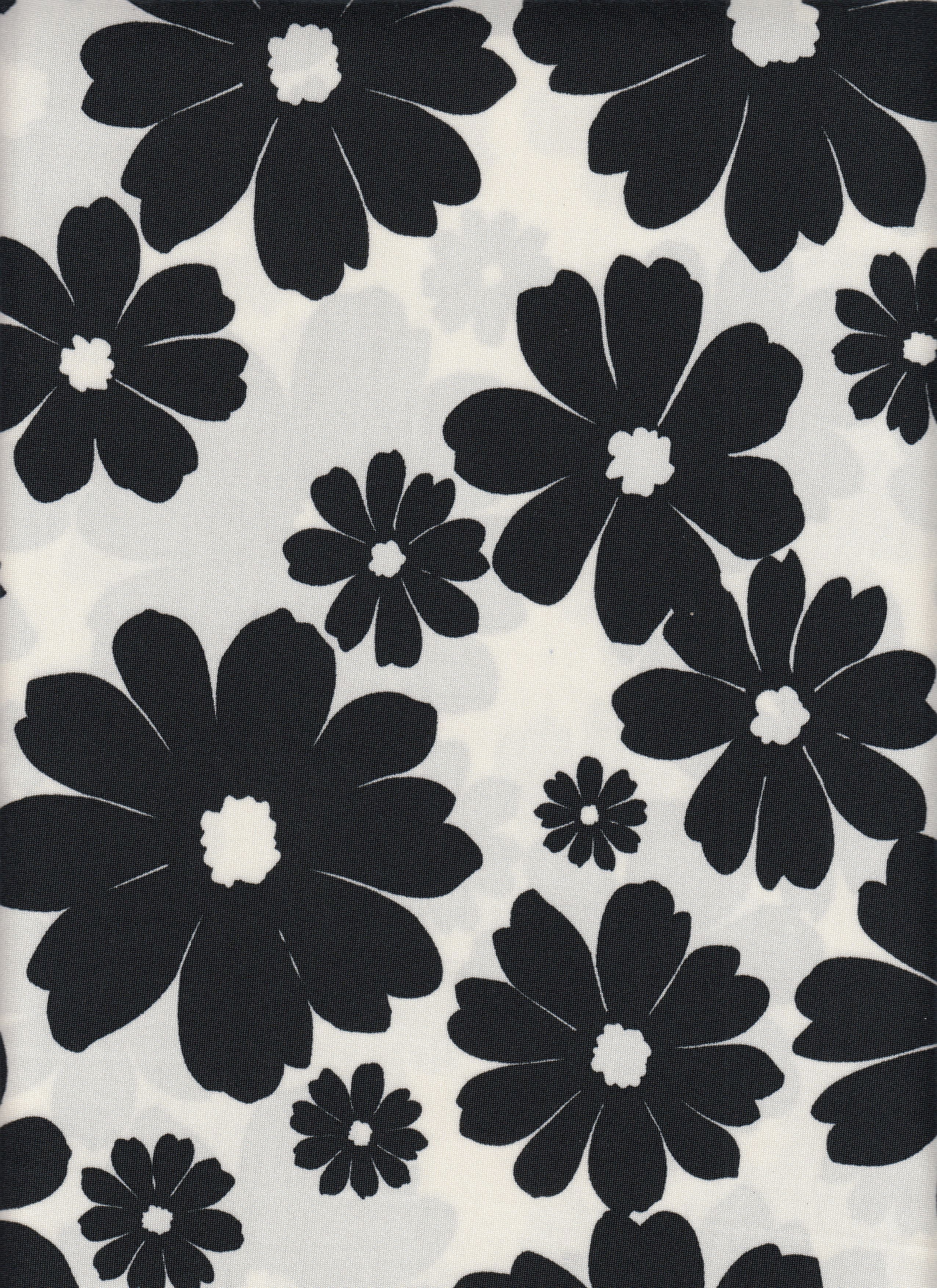 DTY Non Brushed Knit Fabric - 96% Polyester 4% Spandex - Floral Print Stretch Knit 