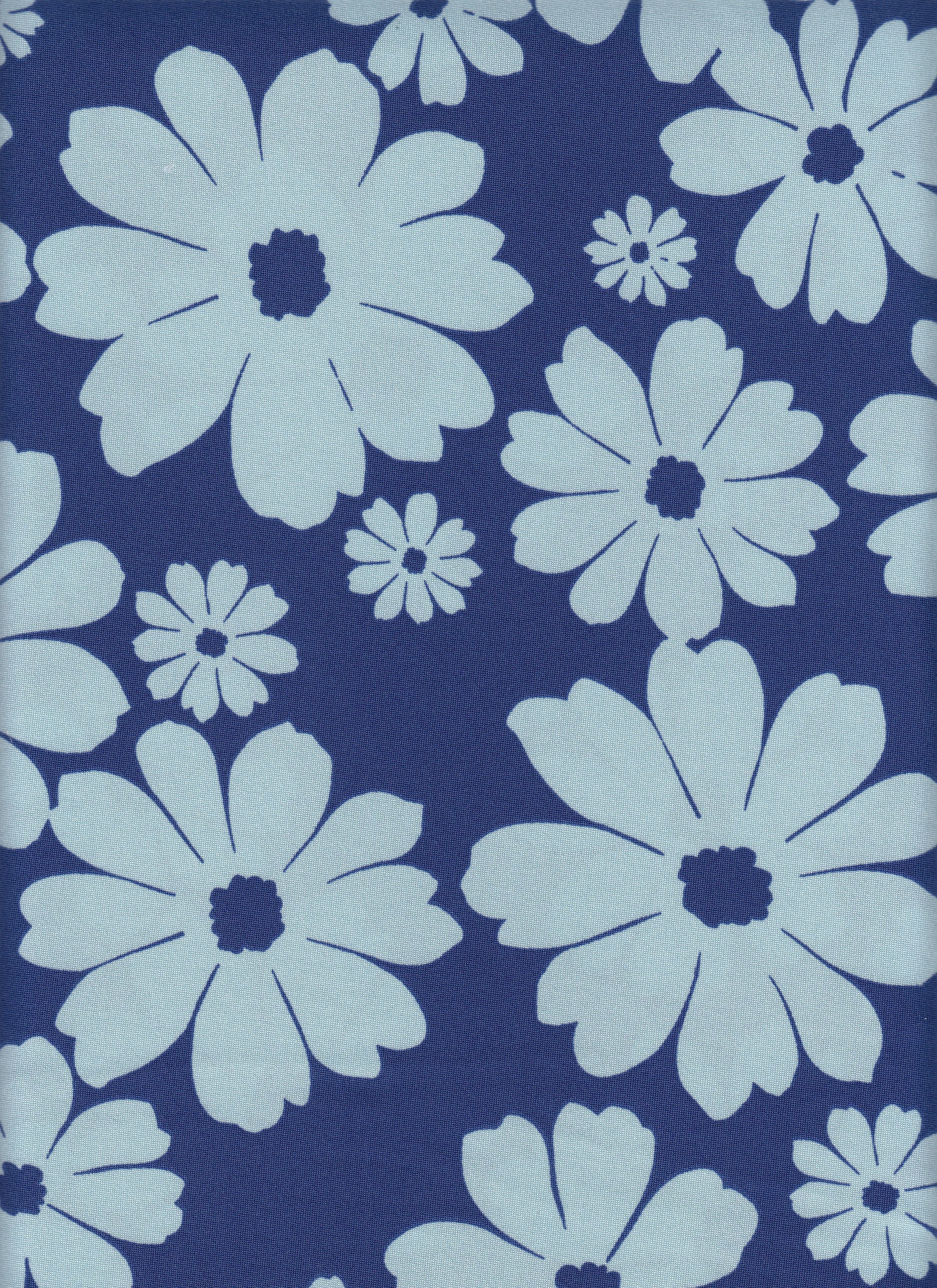 DTY Non Brushed Knit Fabric - 96% Polyester 4% Spandex - Floral Print Stretch Knit 