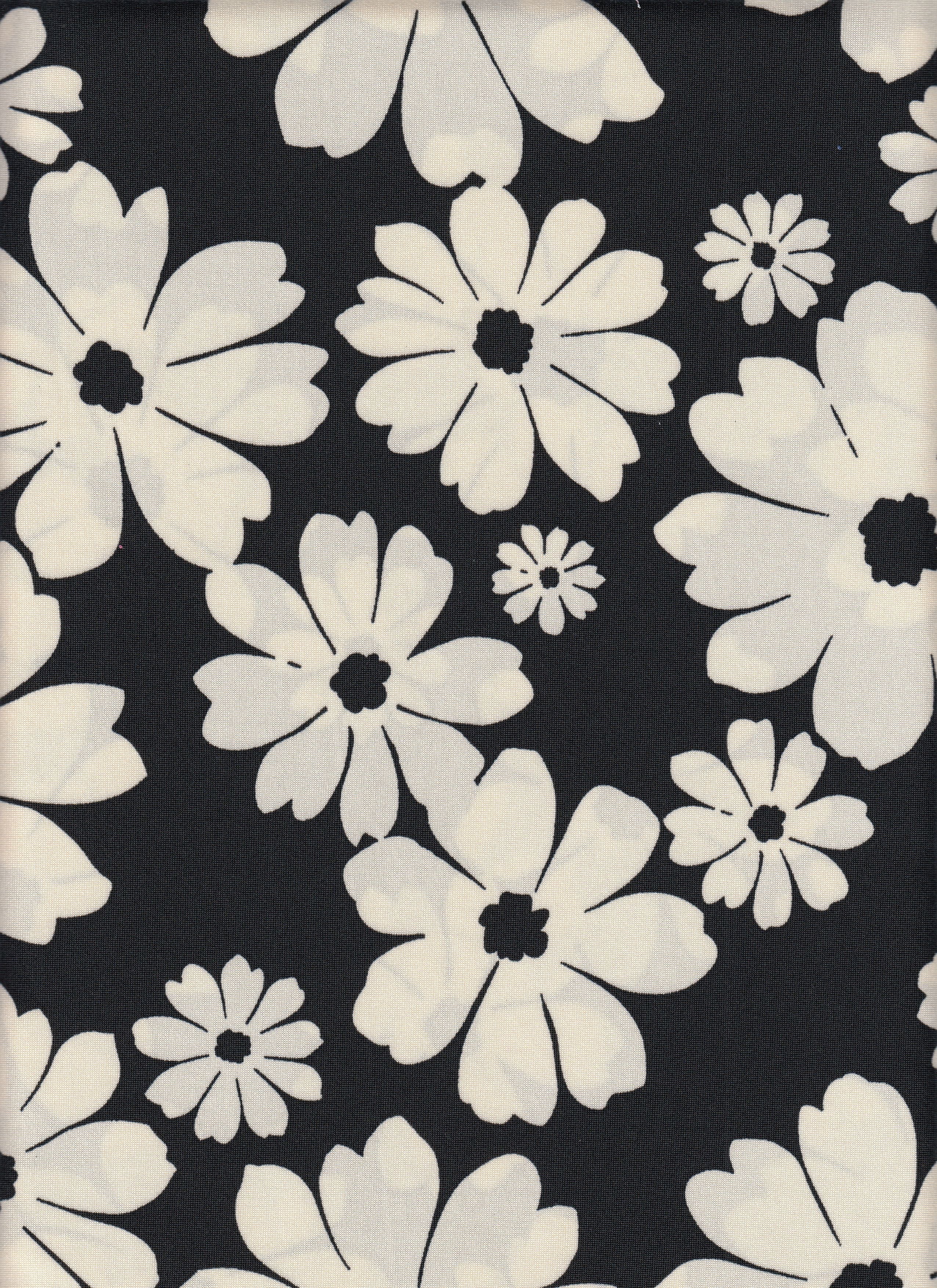 DTY Non Brushed Knit Fabric - 96% Polyester 4% Spandex - Floral Print Stretch Knit 