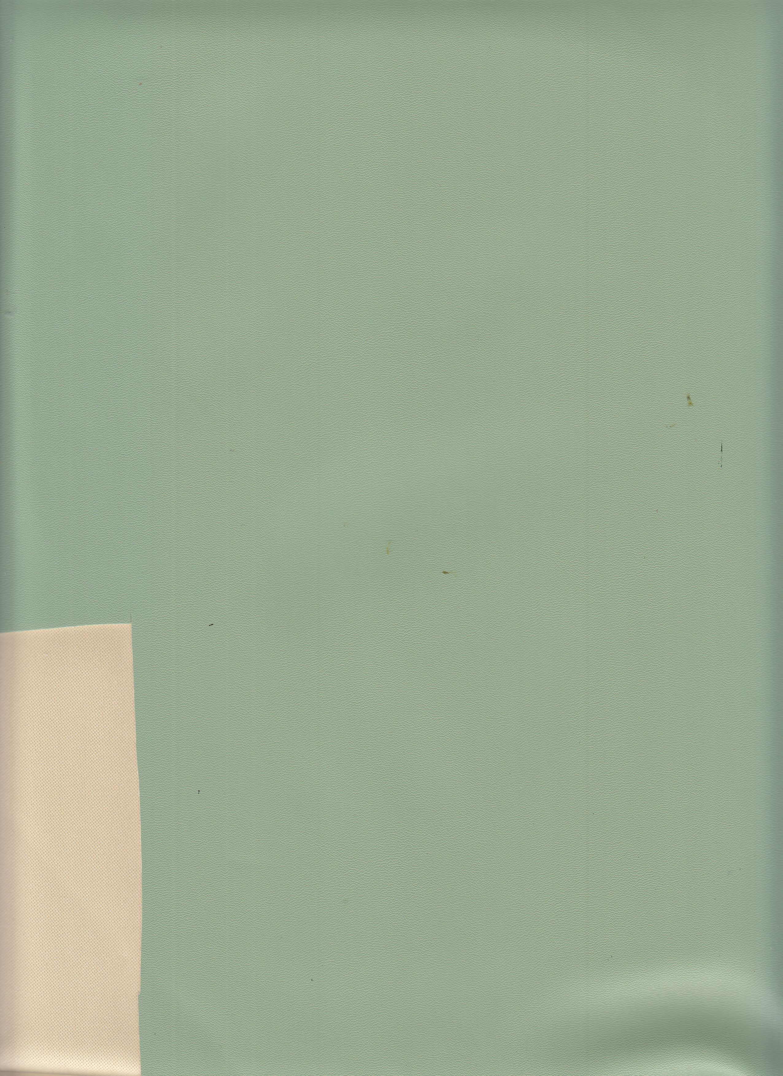 Pleather - Sleek Faux Leather With A Soft Backing 