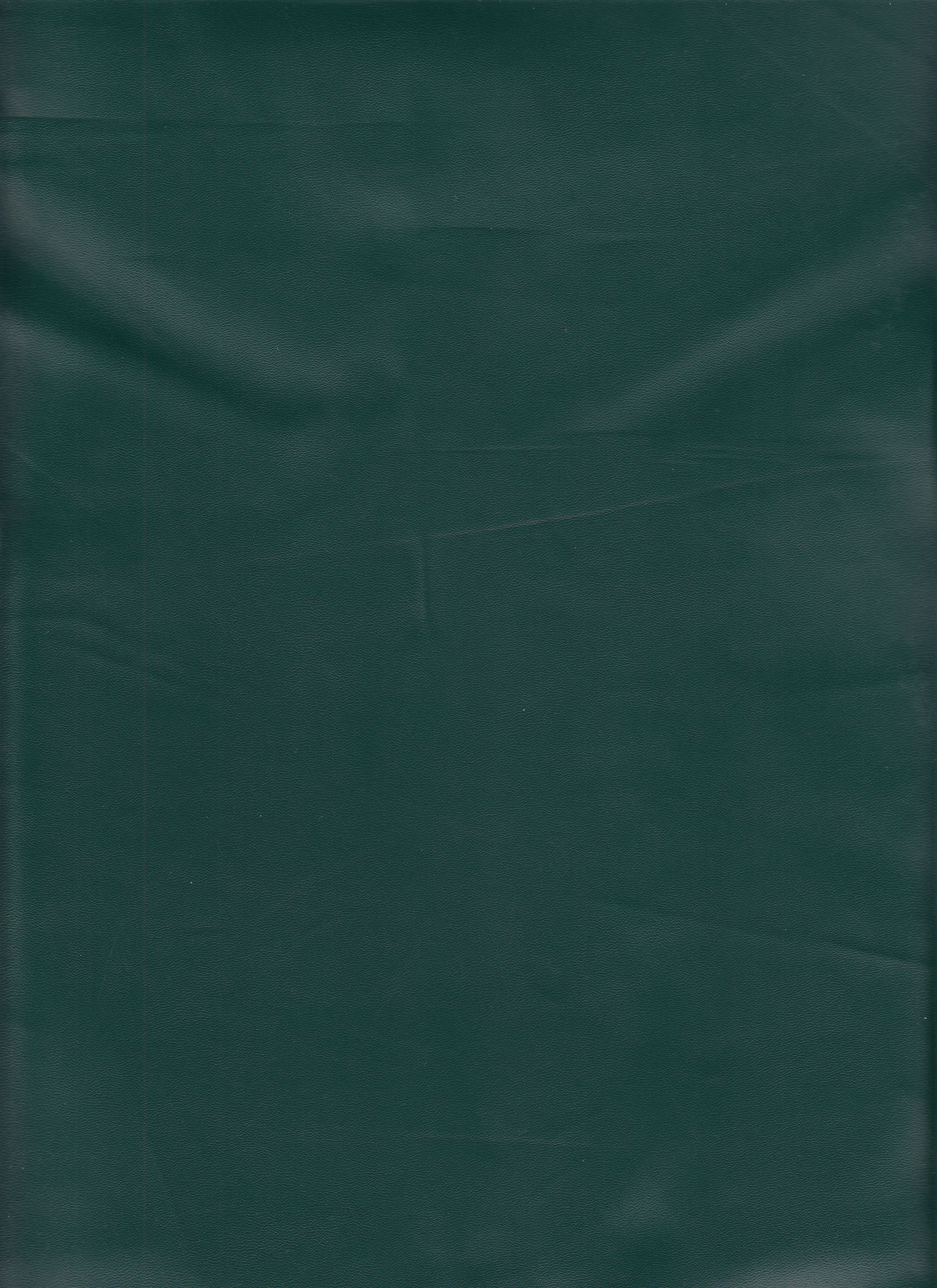 Pleather - Sleek Faux Leather With A Soft Backing 