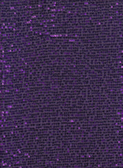 Sequince Fabric - Dazzling Shine With Flexible Comfort 