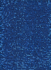 Sequince Fabric - Dazzling Shine With Flexible Comfort 