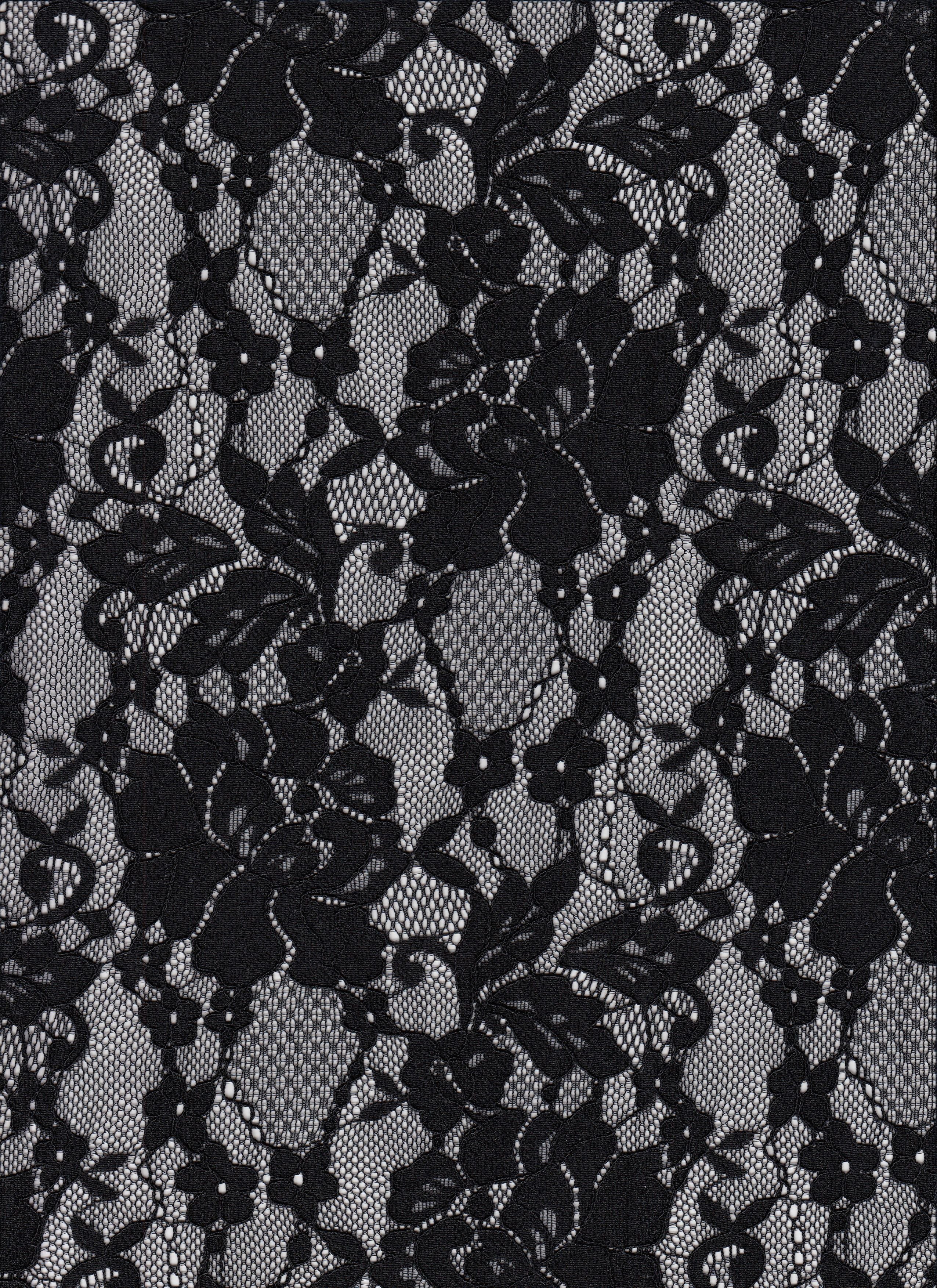 Stretch Lace Fabric - 90% Nylon 10% Spandex - Sheer Stretch Lace 