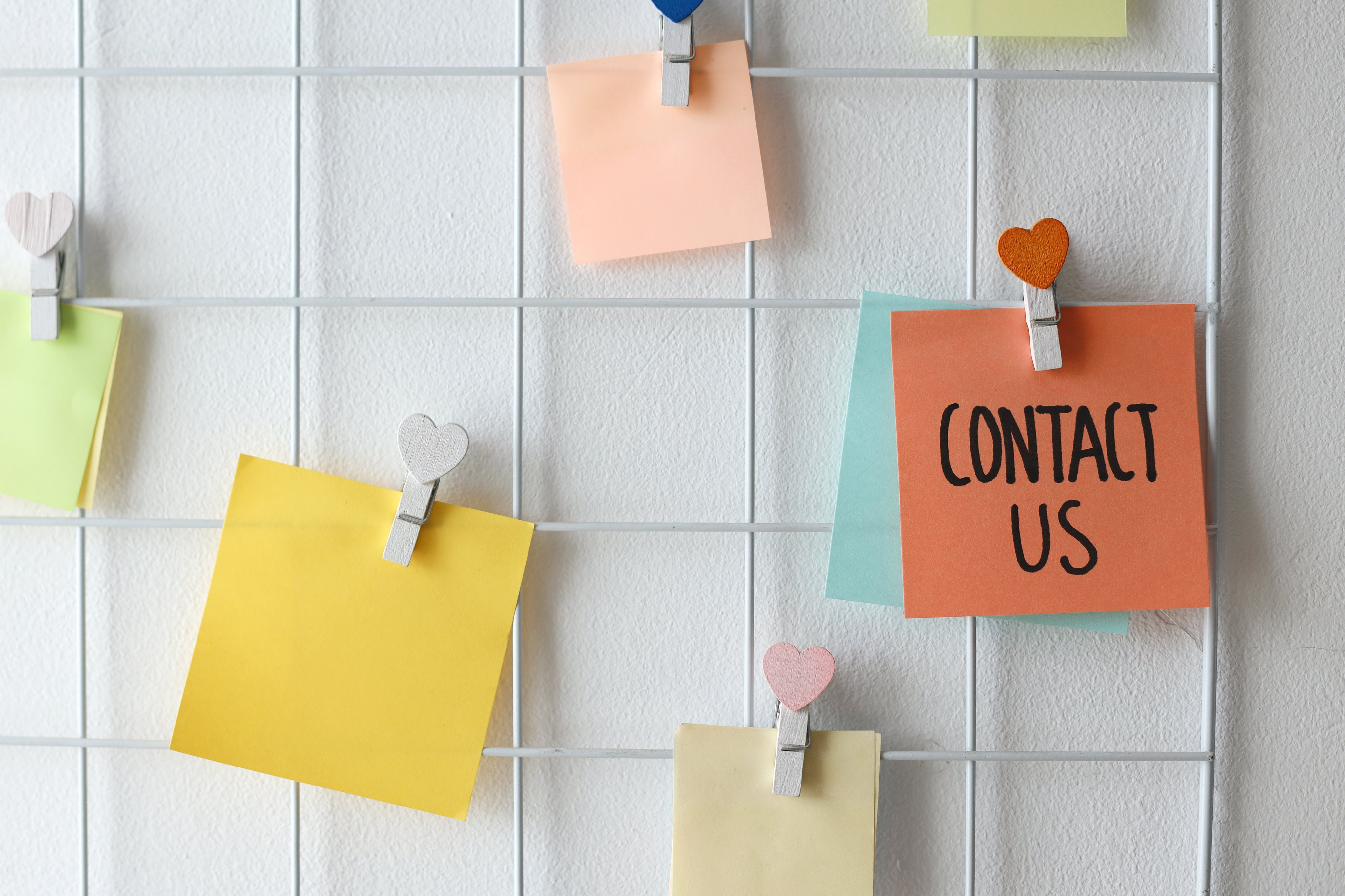 contact-us-at-office-wall-2025-03-16-15-27-55-utc.jpg